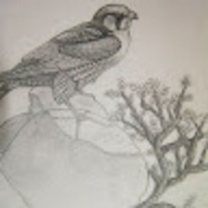 Meet your Posher, Janet